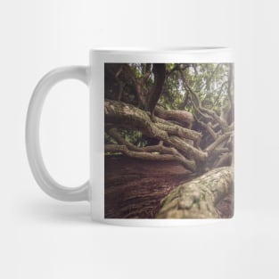 Tree Trunk Mug